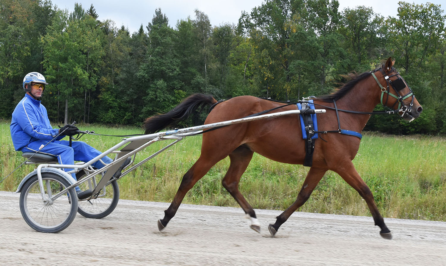 Kai Jussila bakom Happy Hour. Hästen har samma lätta fina och energisnåla travsteg som pappa Who's Who. Foto: A.Lindblom